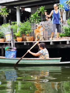 Thailandia, un viaggio alla scoperta di una cultura