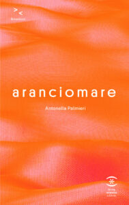 "Aranciomare" di Antonella Palmieri, un romanzo dall'essenza magmatica firmato Terra Somnia Editore