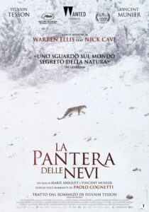 "La pantera delle nevi", il docu-film che si interroga sul ruolo dell'essere umano nel mondo