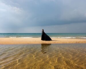 "Bound Narratives", al Museo del Novecento la collezione di libri fotografici sul Medio Oriente